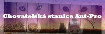Chovatelsk� stanice Ant-Pro