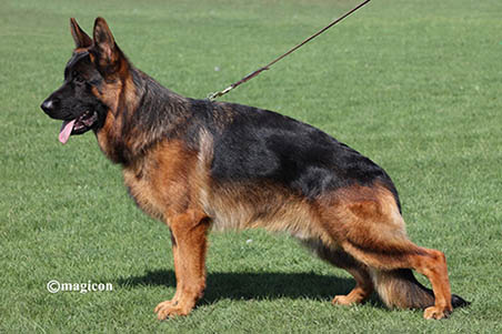 Brad Pitt del Vento Margio Team