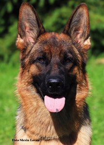 Charlotte von Waag-Fluss