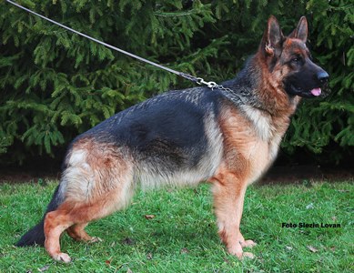 Charlotte von Waag-Fluss