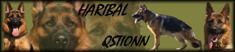 Haribal Qstionn