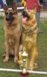 Sancho v. Spitalfeld